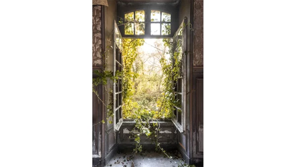 aux meilleurs prix Cadre Photo Nature Style Urbex En Plexiglas L80 X L120 Cm LIERE 1