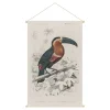 Kakemono Toucan L40 X L60 Cm TOUCAN ﻿soldes 11