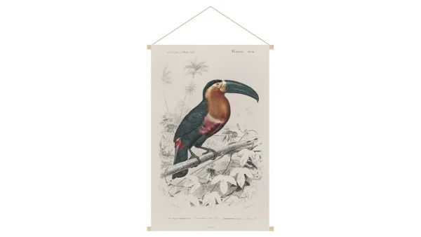 Kakemono Toucan L40 X L60 Cm TOUCAN ﻿soldes 1